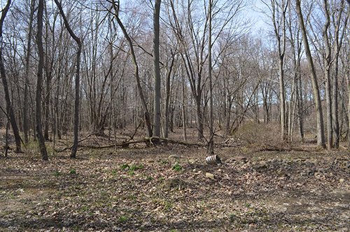 Property photo 100 - REAL ESTATE & PERSONAL PROPERTY AUCTION, 140 Acres offered in 8 Tracts or Combinations in Steuben County